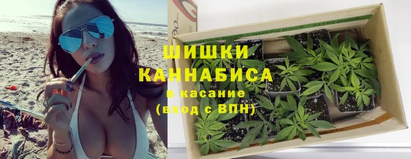твердый Магас