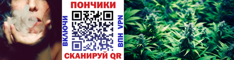 Шишки марихуана ГИДРОПОН  Чегем 